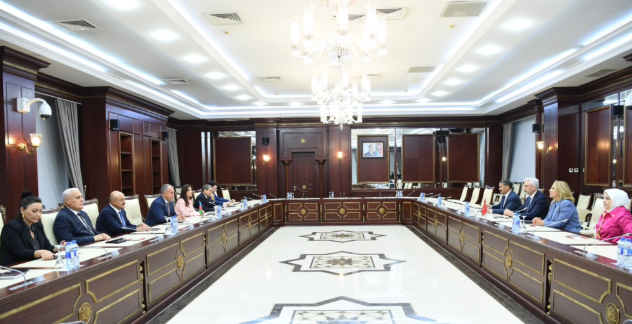 Azerbaijani and Turkish parliamentary committee members seated at a long conference table discussing climate and energy cooperation